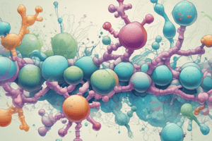 Single carbon metabolism