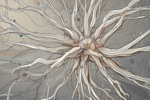 Neuroscience Section 1: Nervous System