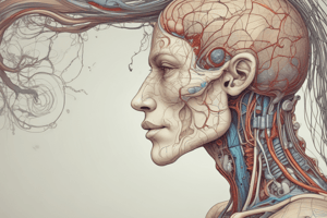 Autonomic Nervous System in Thoracic Organs