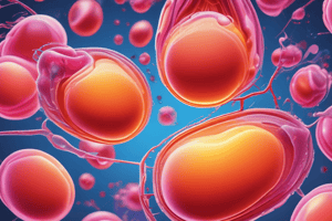 Lipid Panel Testing: Cholesterol Overview