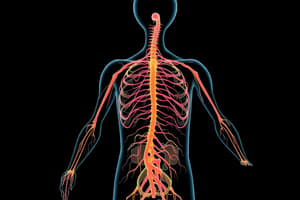 Autonomic Nervous System Case Studies