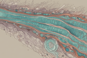 Biology Cilia Structure and Mechanism