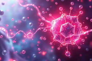 Pharmacokinetic Interactions Quiz