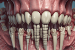 Dental Anatomy: Enamel Structure and Amelogenesis