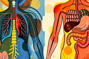 Human Body Systems Overview