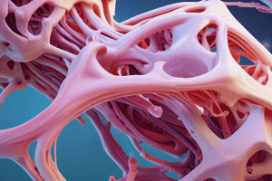 Classification of Joints and Periarticular Reinforcing Connective Tissue