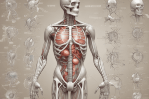 Anatomy and Physiology Fundamentals