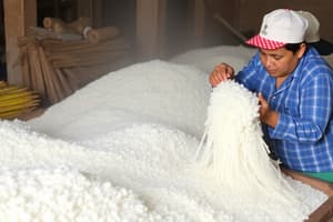 Sugar Production and Processing