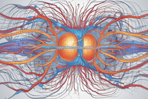 Ion Channels in Electrical Signaling