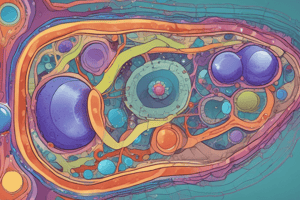 Molecular and Cellular Bases Pt 2 Quiz