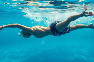 Backcrawl Swimming Techniques Quiz