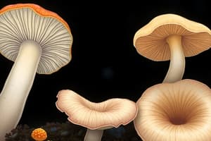 Fungi Morphology and Reproduction