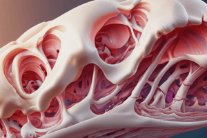 Lamellar and Compact Bone Structure Quiz