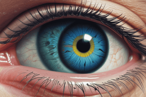 Ophthalmology: Corneal Wound Healing