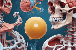 3D Interpretation of 2D Image Fracture Terminology Quiz