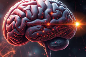 Overview of Subcortical Descending Tracks