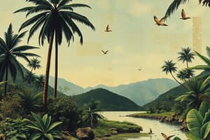 Tropical Biodiversity Overview