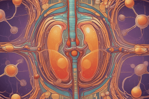 Renal Physiology Quiz