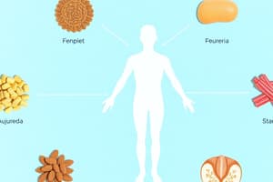 Sapthadhatu: Seven Essential Body Tissues