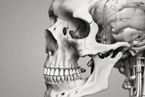 Bone Fractures