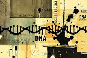 DNA Polymerization Free Energy Change