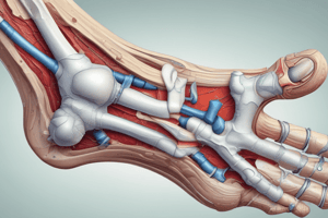 Orthopedic Pathology and Ankle Joint Capsule