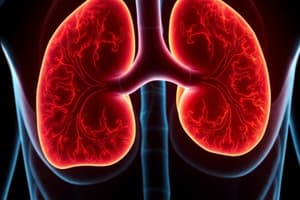 Adrenal Disorders and Hormone Function