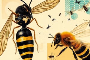 Wasp and Honeybee Social Systems