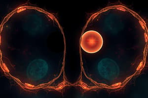 Mitosis vs Meiosis Flashcards