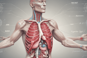 Respiratory System Functional Components