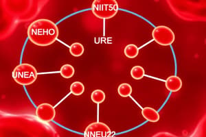 Ammonia Metabolism and Urea Cycle