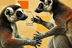 Lemur Communication and Mating Behaviors