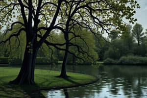 Advanced Texture Mapping & Graphics Pipelines
