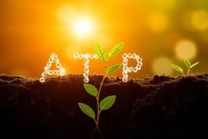 Biology Overview: ATP and Photosynthesis