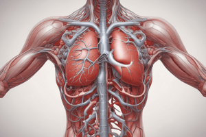 Anatomy of the Heart Quiz