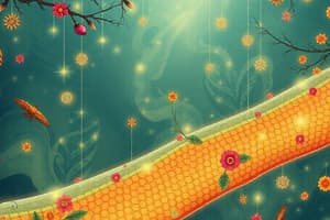 Biology Chapter: Membrane Transport Mechanisms