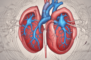 Blood Pressure and Pulmonary Hypertension