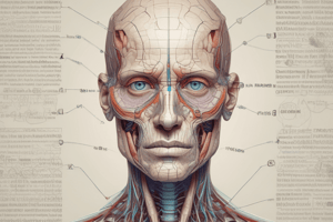 Medical Terminology Lecture 3