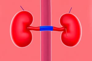 Renal Regulation of pH - MED 204