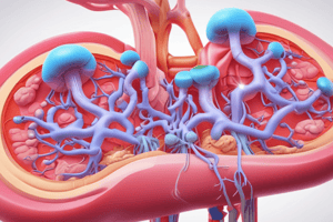 Kidney Structure and Function: Dr. Nicole Flemming