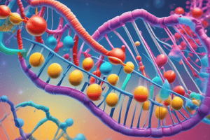 Nucleic Acids Structure and Function Quiz