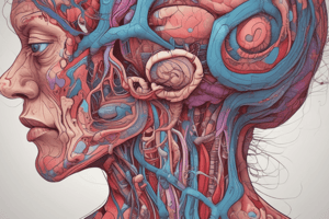 AVM Congenital Abnormality