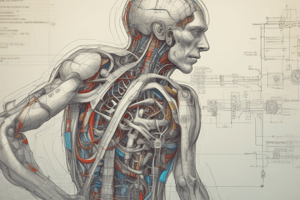 Motor Systems: Spinal Cord