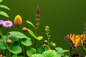 Introducción a la Botánica