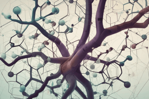 Branches of Chemistry