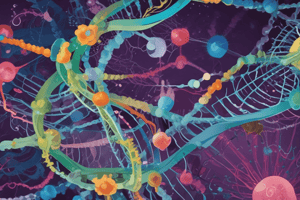 Operon Regulation in E. coli