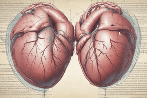 Atrial Septal Defects Classification