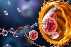 Cell Transport Mechanisms Quiz