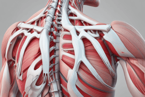 Rotator Cuff Pathophysiology