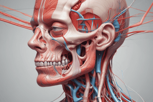 Obturator Nerve Anatomy and Clinical Notes Quiz